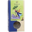 Sonnentor Grüntee Sencha bio - 70 g