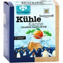 Sonnentor Kühle Kanne Orange-Basilikum Tee bio - 16 Teebeutel