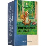 Sonnentor Bio Durchatmen im Wald Tee