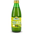 Sapore di Sole Bio Apfel-Bergamotte Saft - 250 ml
