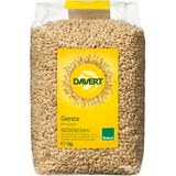 Davert Bio Gerste entspelzt