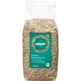 Davert Bio Sonnenblumenkerne